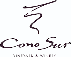 Cono Sur