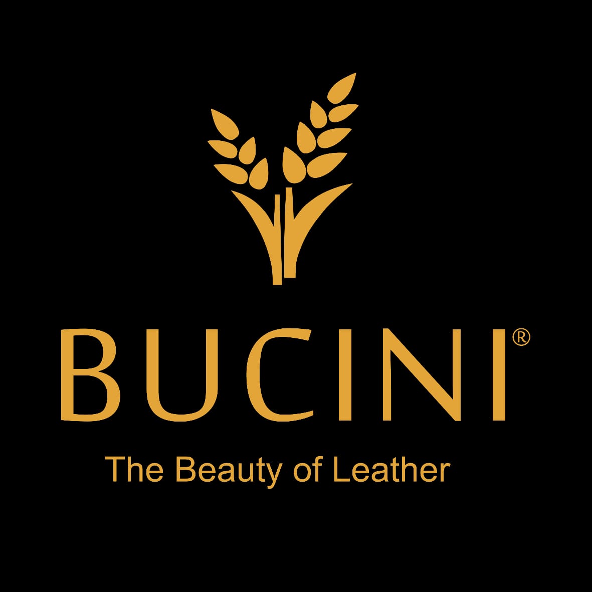 BUCINI