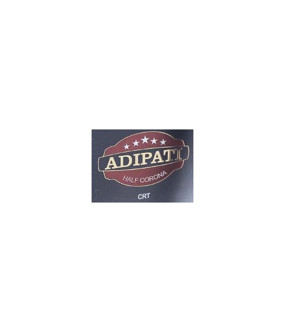 ADIPATI