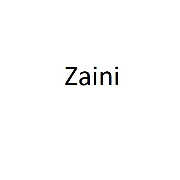 Zaini