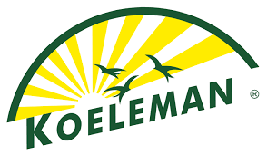KOELEMAN