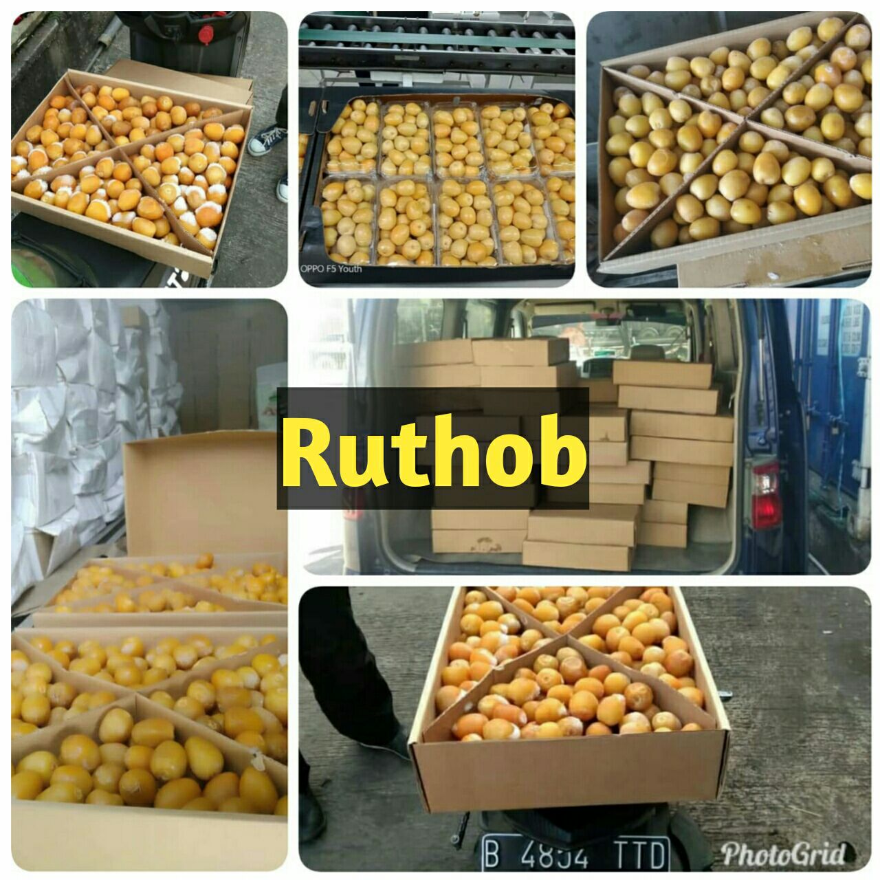 Ruthob