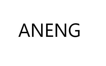 Aneng