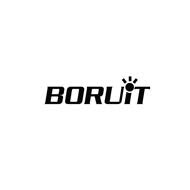 Boruit