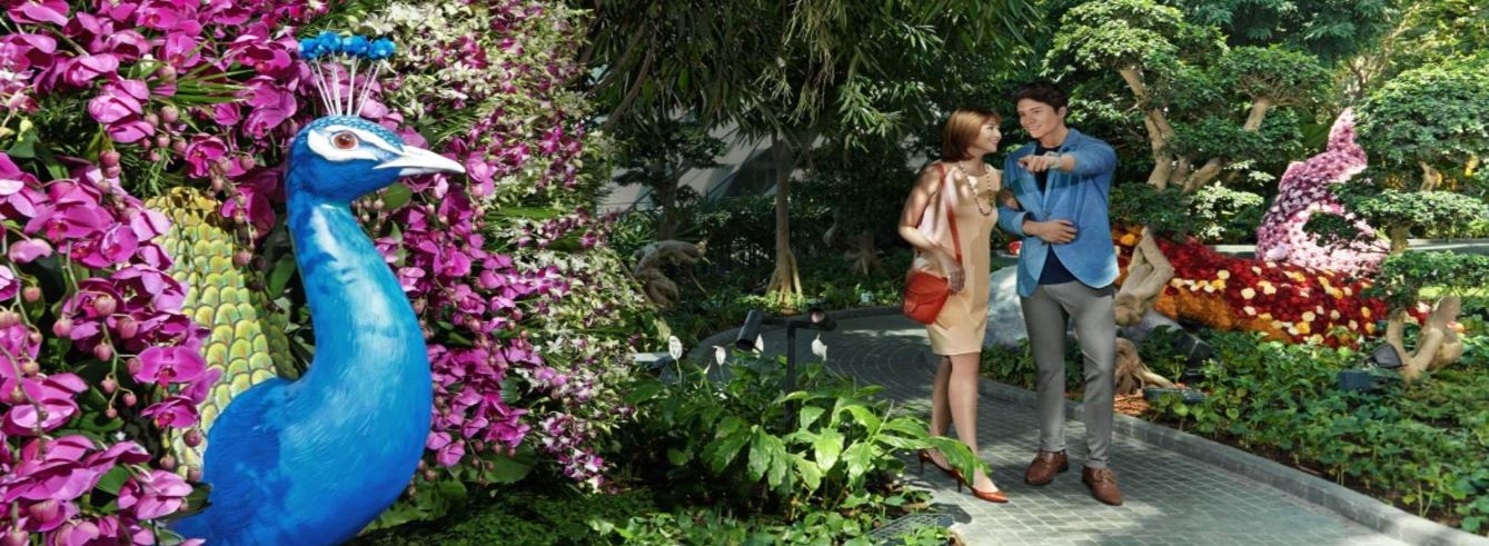 Jewel Changi Airport Attraction