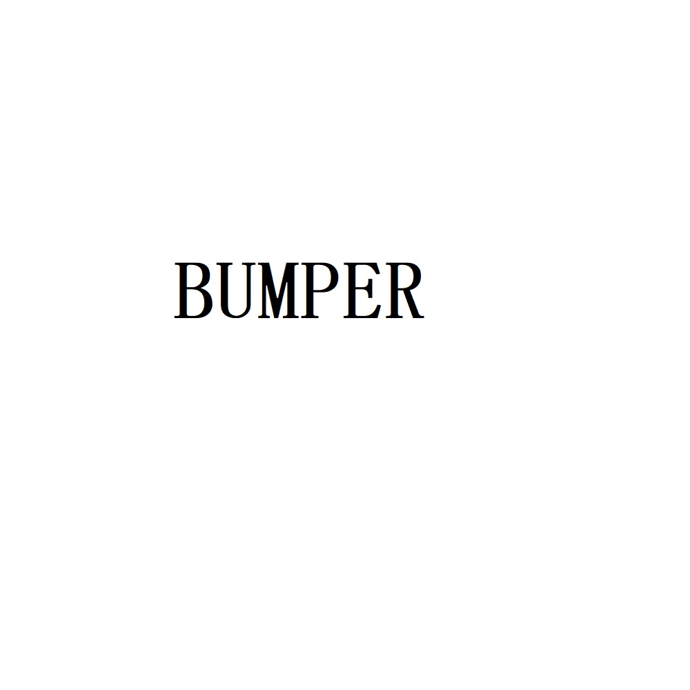 Bumper