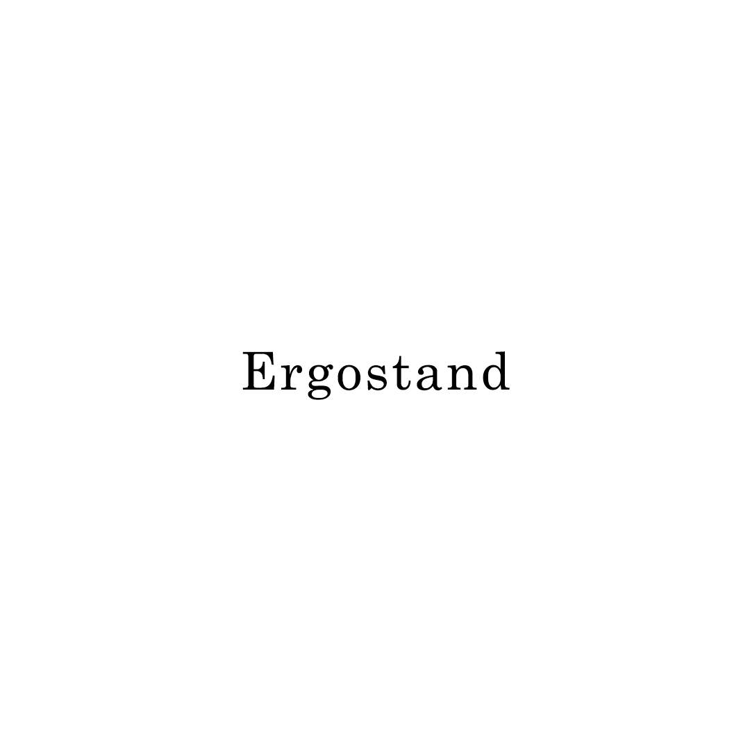 Ergostand