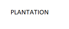 PLANTATION