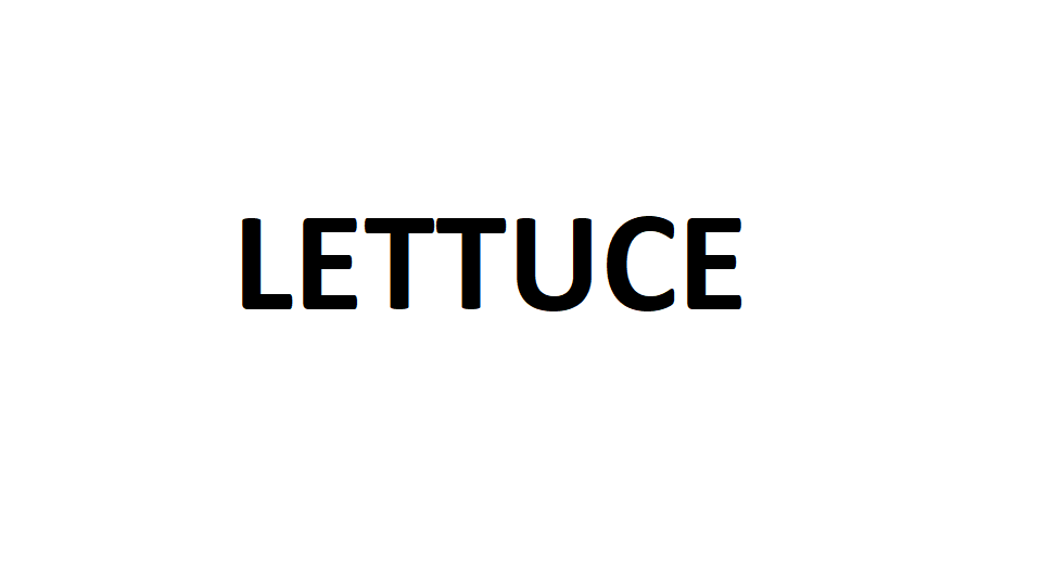 LETTUCE
