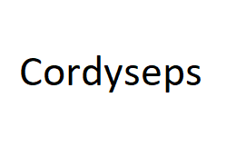 Cordyseps