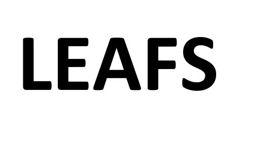 Leafs