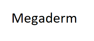 Megaderm