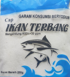 Ikan Terbang
