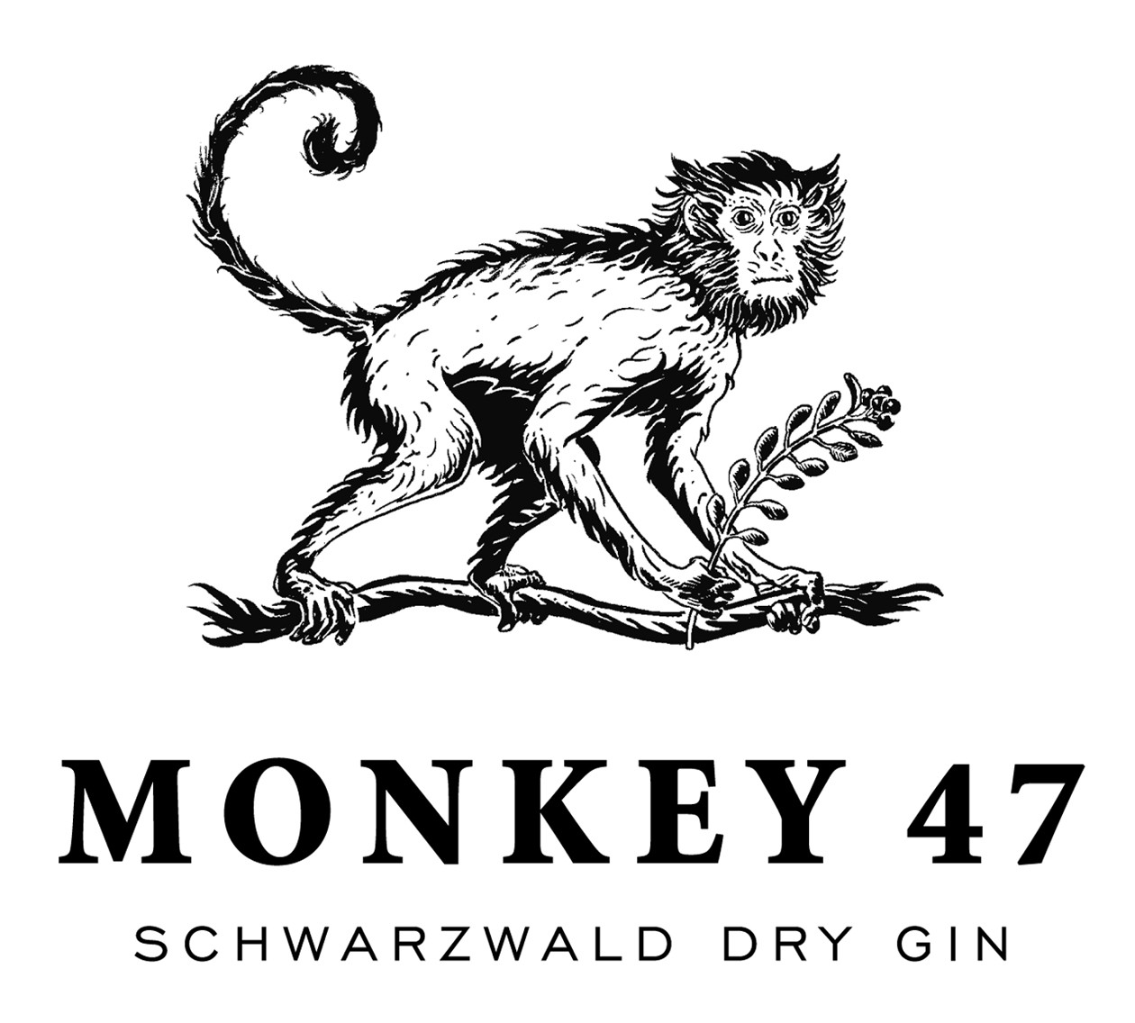 Monkey 47