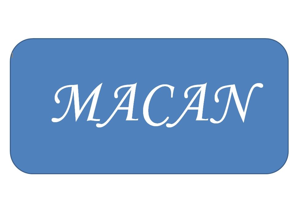 MACAN