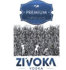 ZIVOKA