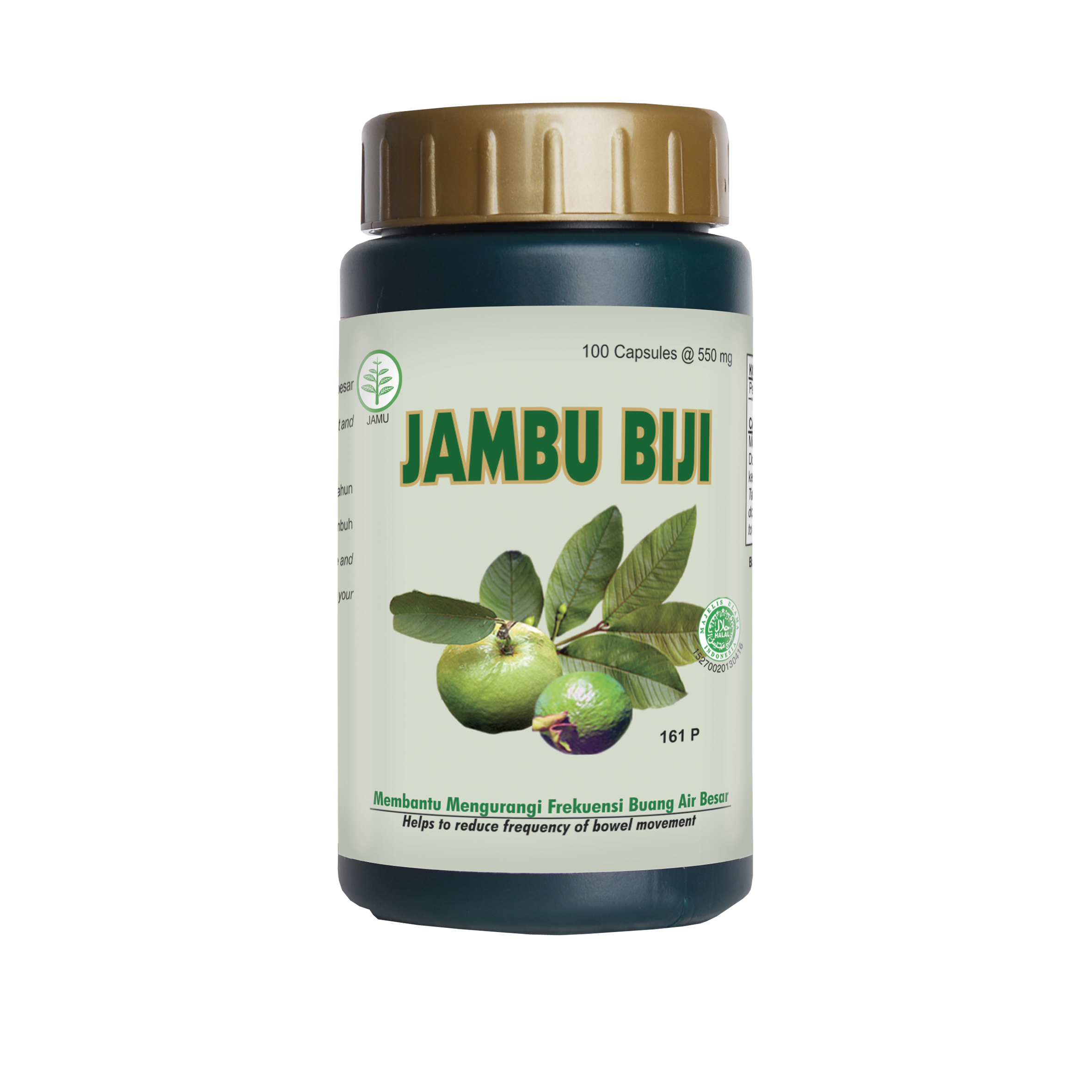 JAMBU BIJI