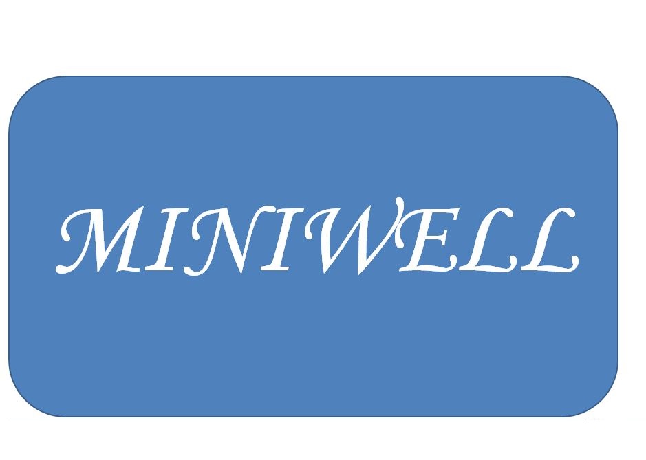 MINIWELL