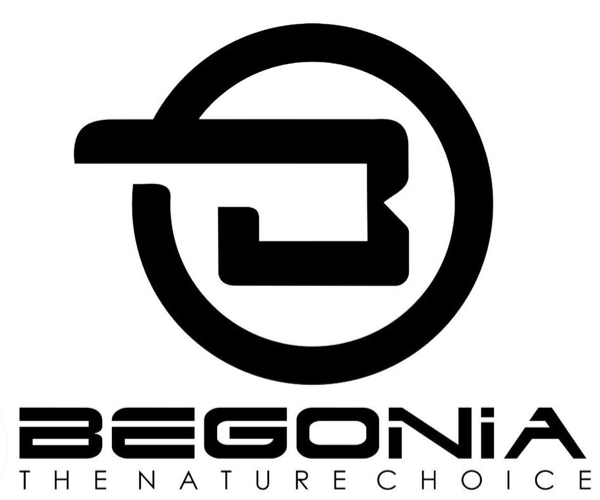 Begonia