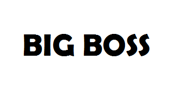Big Boss