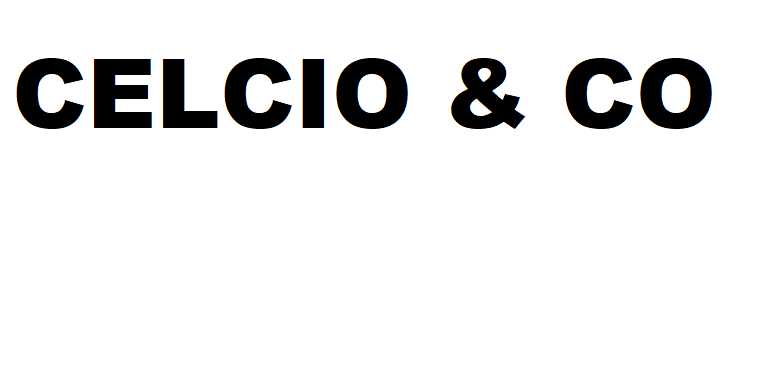 CELCIO & CO