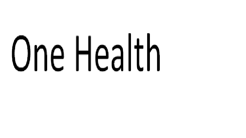 One Health