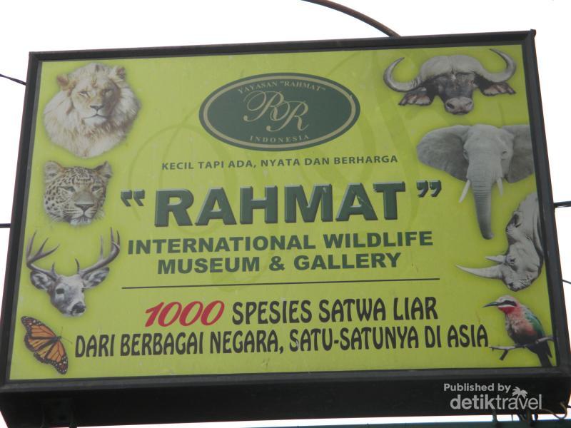 RAHMAT