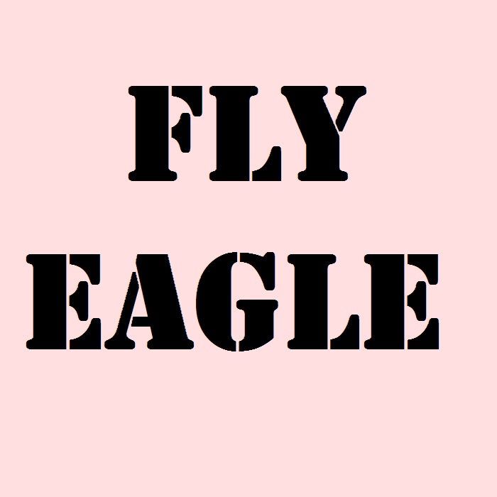 Fly Eagle