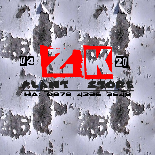 ZKPL