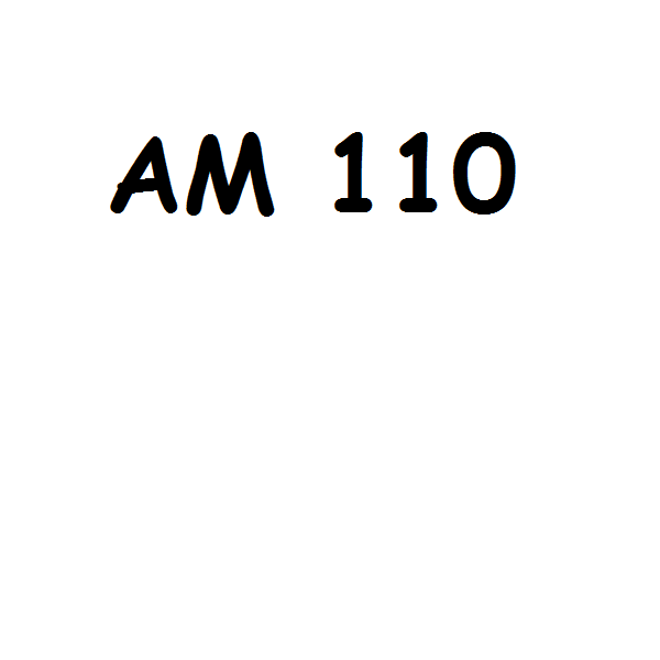 AM 110