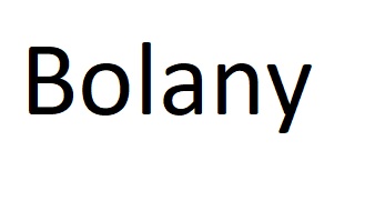 Bolany