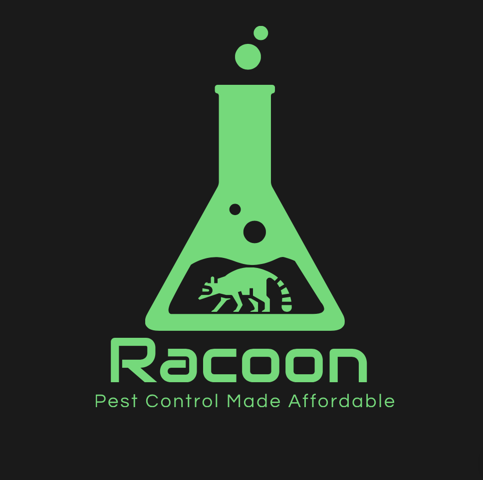 Racoon