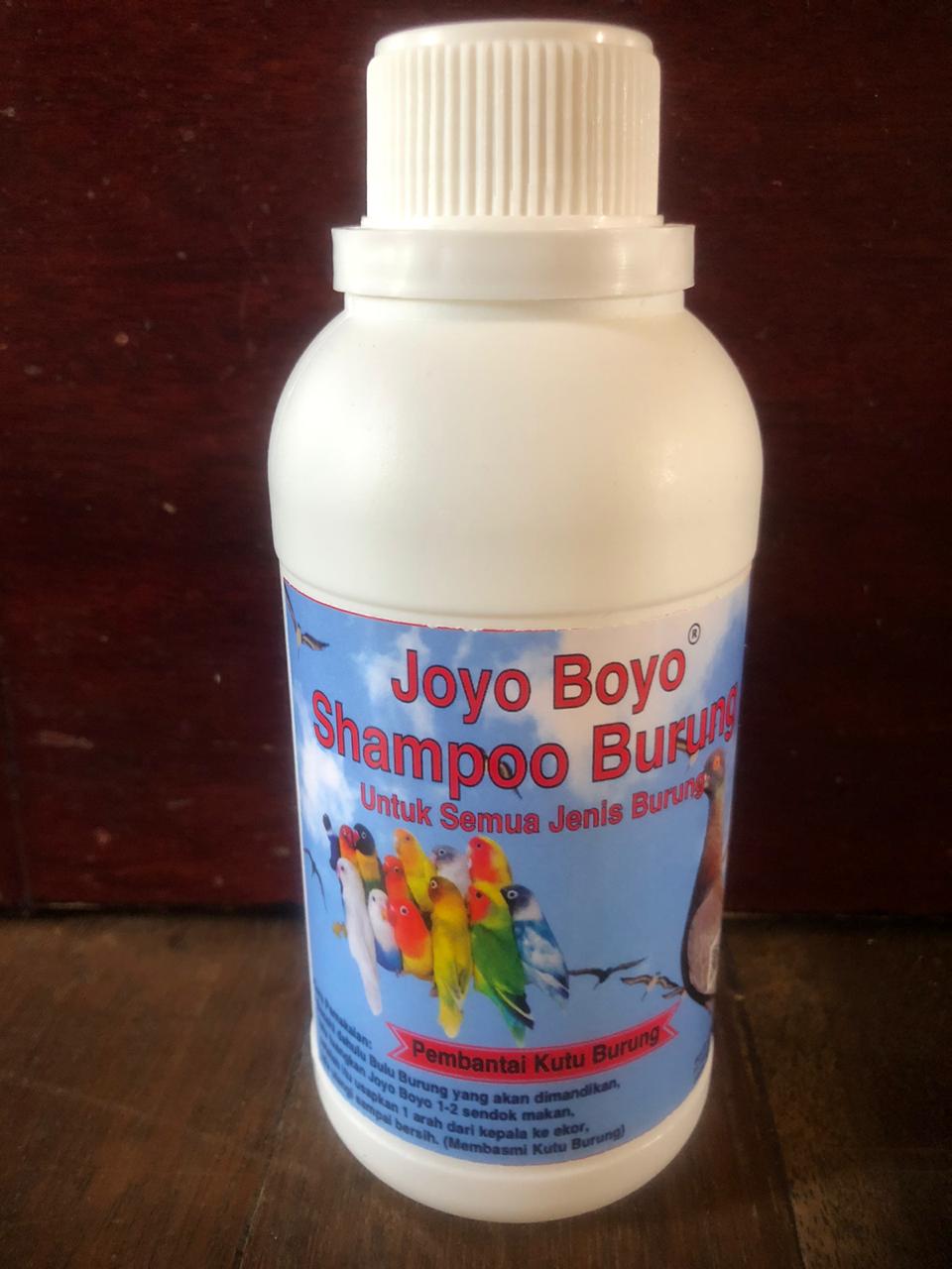Joyo Boyo