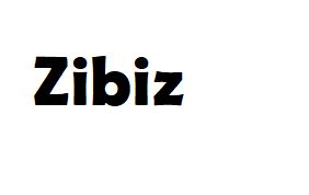 Zibiz