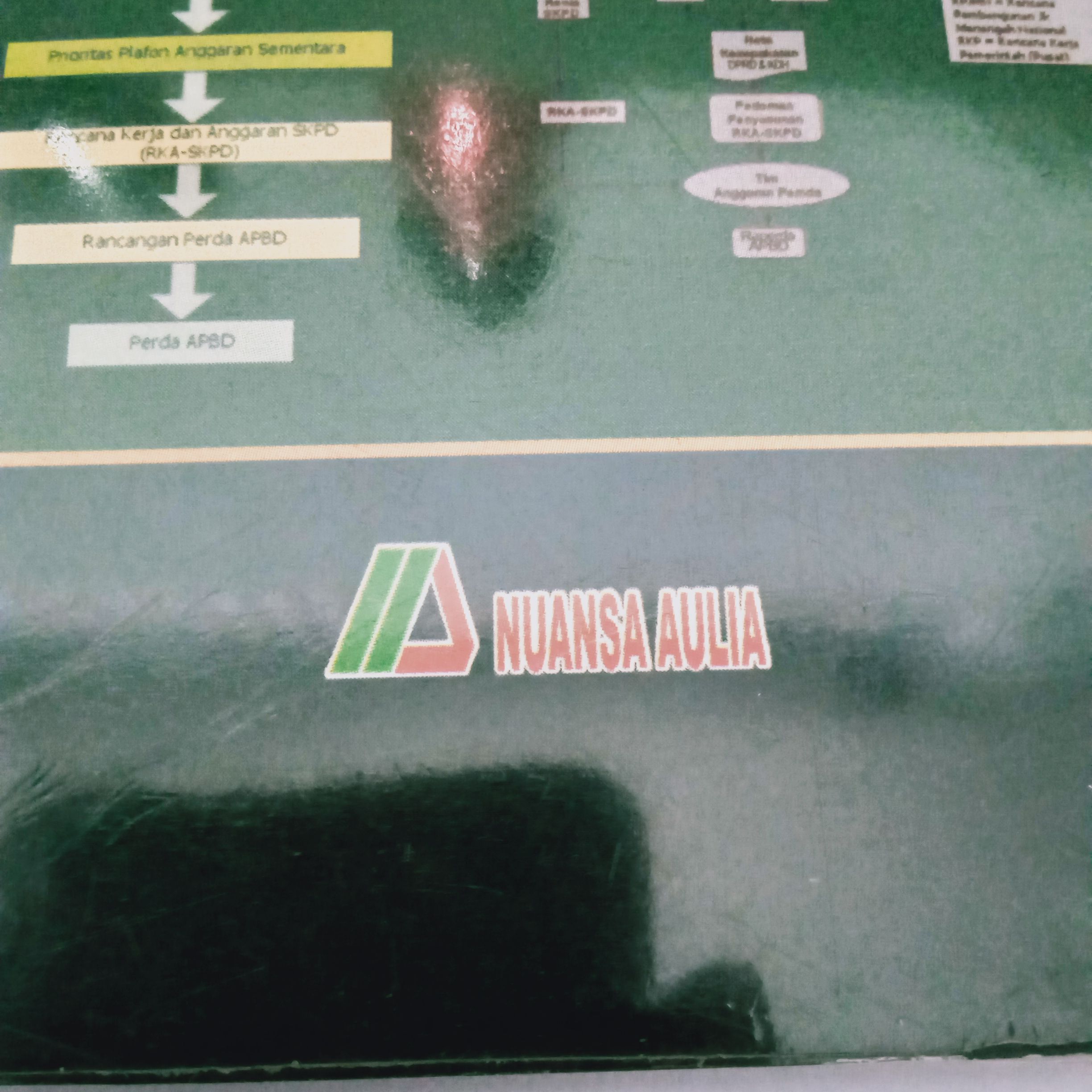 nuansa aulia