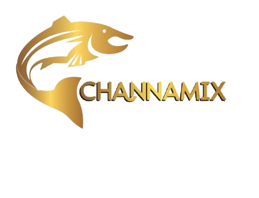 CHANNAMIX