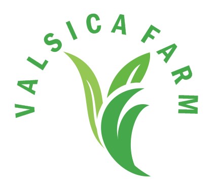 Valsica Farm