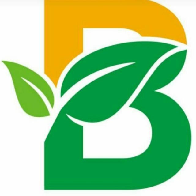 Ichibang