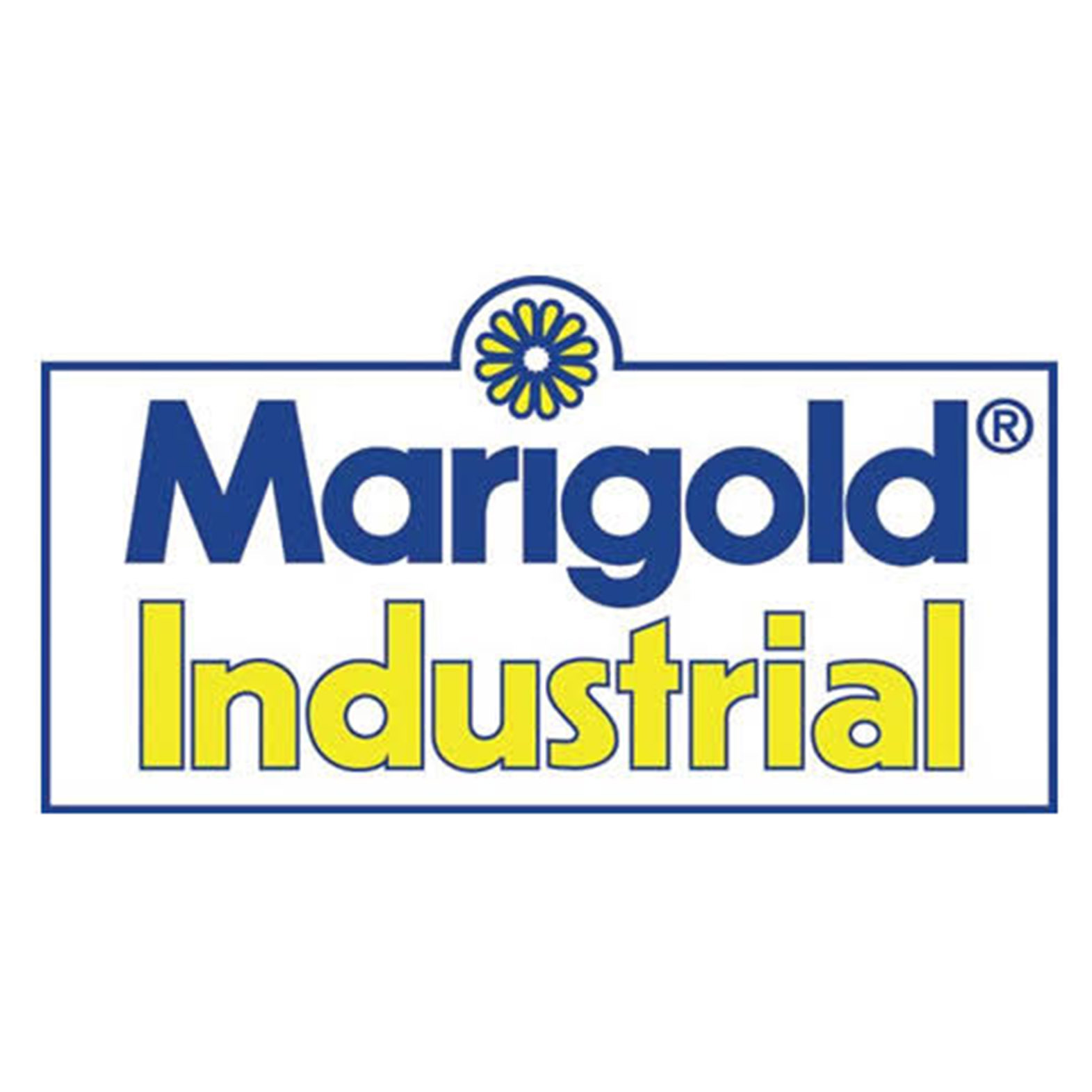 MARIGOLD