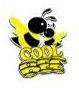 Cool Bee