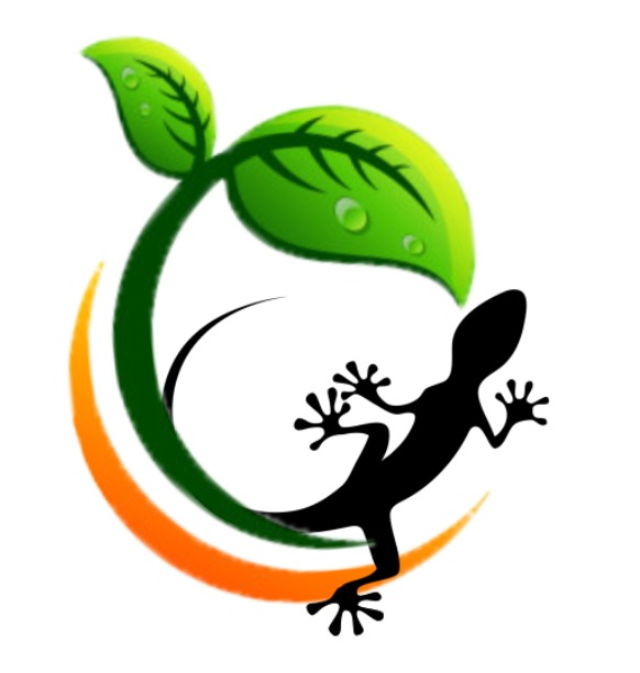 RACAK HERBAL