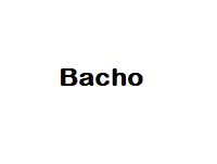 Bacho