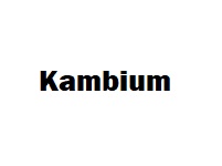Kambium