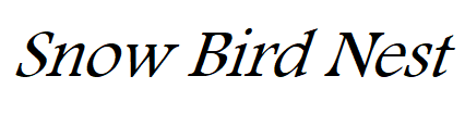 Snow Bird Nest