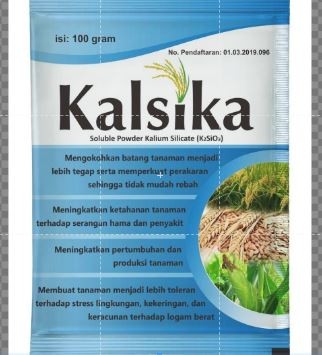 Kalsika