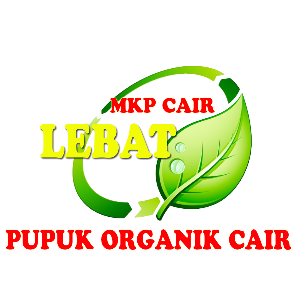 Lebat