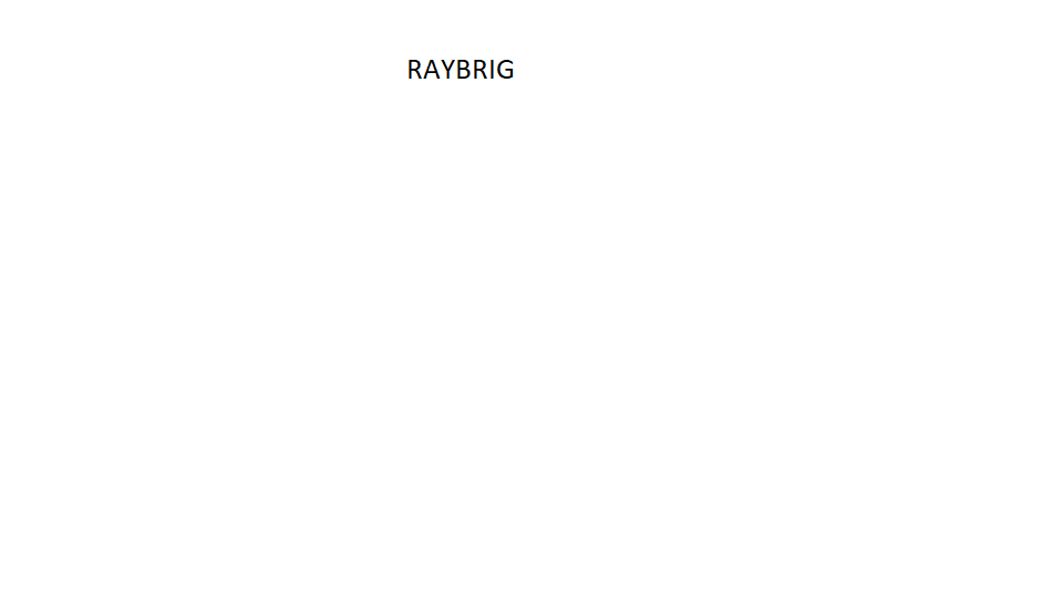 RAYBRIG