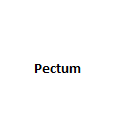 Pectum