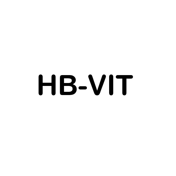 HB-VIT