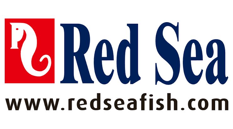 Red Sea